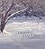 Chasing Shadows~The Art and...