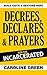 Decrees, Declares & Prayers For The Incarcerated