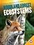 Woodland Forest Ecosystems