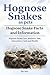 Hognose Snakes as pets. Hog...