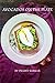 Avocados on the plate