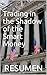 Trading in the Shadow of th...