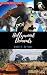 Action!: (Hollywood Demands Book 5) The BWWM Love & Travel Series