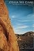 Joshua Tree Climbs by Randy Vogel