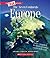 Europe (A True Book: The Seven Continents)