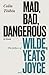 Mad, Bad, Dangerous to Know The Fathers of Wilde, Yeats and Joyce by Colm Tóibín