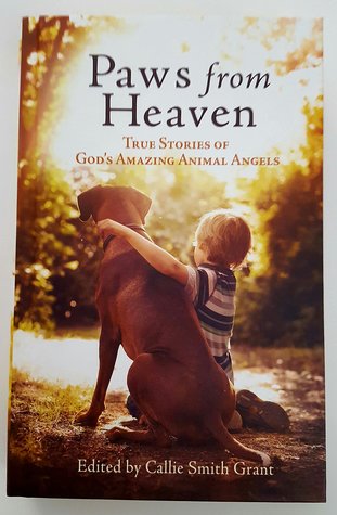 Paws from Heaven: True Stories of God's Amazing Animal Angels (Hardcover)