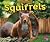Squirrels (Backyard Animals)