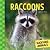 Raccoons