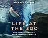 Life at the Zoo: The Secret World of Your Favorite Animals