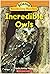 Incredible Owls