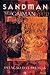 Sandman: Estação das Brumas