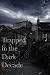 Trapped In The Dark Decade:...