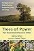 Trees of Power by Akiva Silver