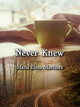 Never Knew (ebook)