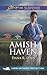 Amish Haven (Amish Witness Protection #3)