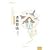 Kill algorithm (Galaxy Awar...