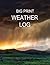 Big Print Weather Log: 100 ...