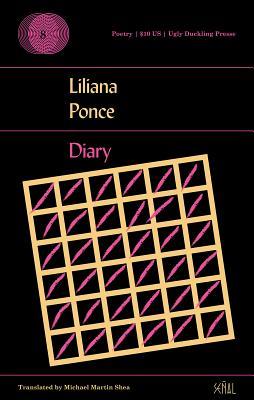Diary (Paperback)