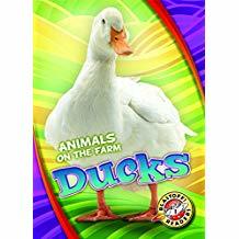 Ducks (Animals on the Farm: Blastoff Readers, Level 1)