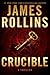 Crucible (Sigma Force, #14)