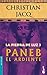 Paneb el ardiente (La piedra de luz #3)
