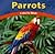Parrots: Colorful Birds (Wild World of Animals)