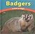 Badgers: Active at Night (Wild World of Animals)