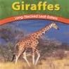 Giraffes: Long-Ne...