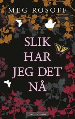 Slik har jeg det nå