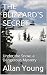 THE BLIZZARD'S SECRET: Unde...