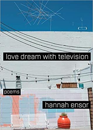 Love Dream With Television (Paperback)