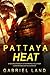 PATTAYA HEAT: On a stakeout...