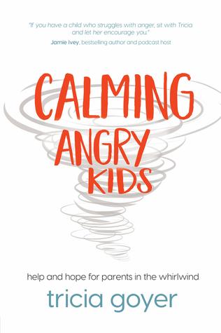 Calming Angry Kids: Help and Hope for Parents in the Whirlwind