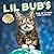 Lil Bub’s One-of-a-Kind 201...