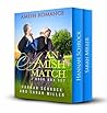 An Amish Match