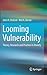 Looming Vulnerability: Theo...