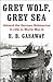 Grey Wolf, Grey Sea: Aboard the German Submarine U-124 in World War II