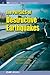 The Physics of Destructive Earthquakes (Iop Concise Physics)