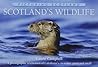 Scotland's Wildlife by Laurie Campbell