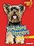 Yorkshire Terriers by Sarah Frank