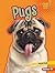 Pugs
