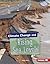 Climate Change and Rising S...
