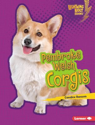 Pembroke Welsh Corgis (Lightning Bolt Books ® ― Who's a Good Dog?)
