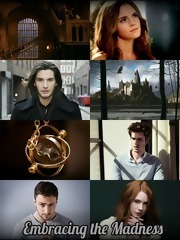 Embracing the Madness (ebook)