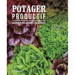 Potager productif: Associez vos légumes facilement
