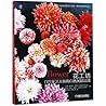 The Flower Workshop (Chinese Edition)