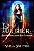 Punisher (The Chronicles of...