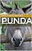 PUNDA by Innocent Marube