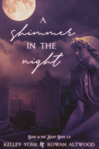 A Shimmer in the Night (Dark is the Night #2.5)